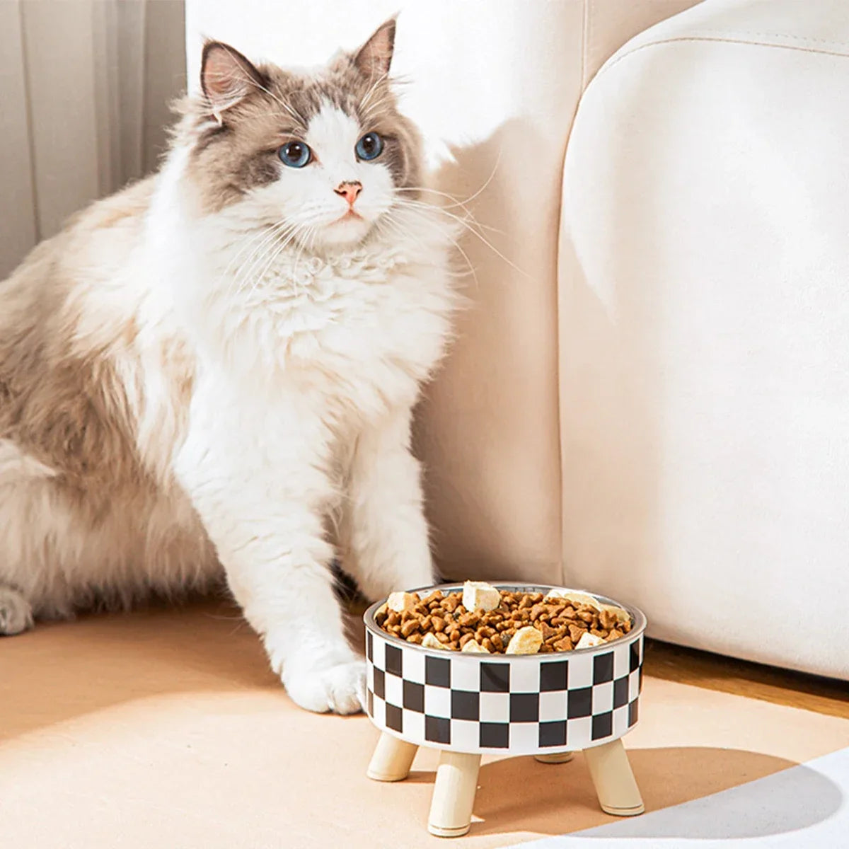 Minimalist Pet Bowl